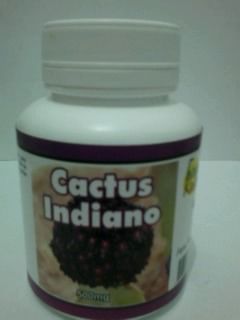 Cactus Indiano