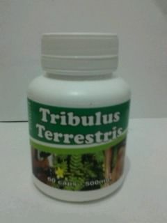 Tribulus Terrestris